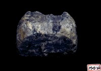 大理岩藏品圖，第2張